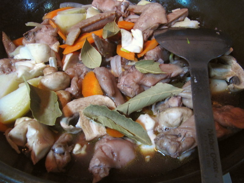 ��ʽ��ƻ⼦������