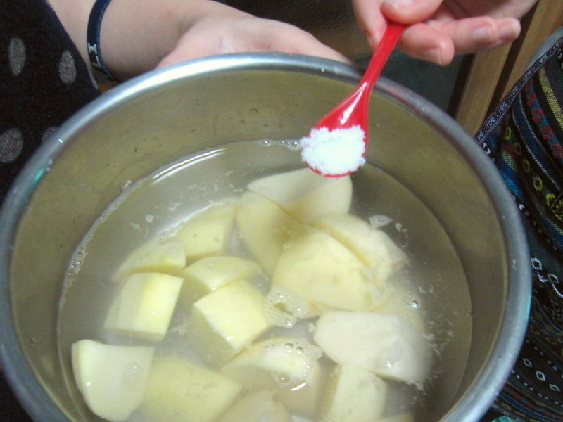 ��ʽ��ƻ⼦������