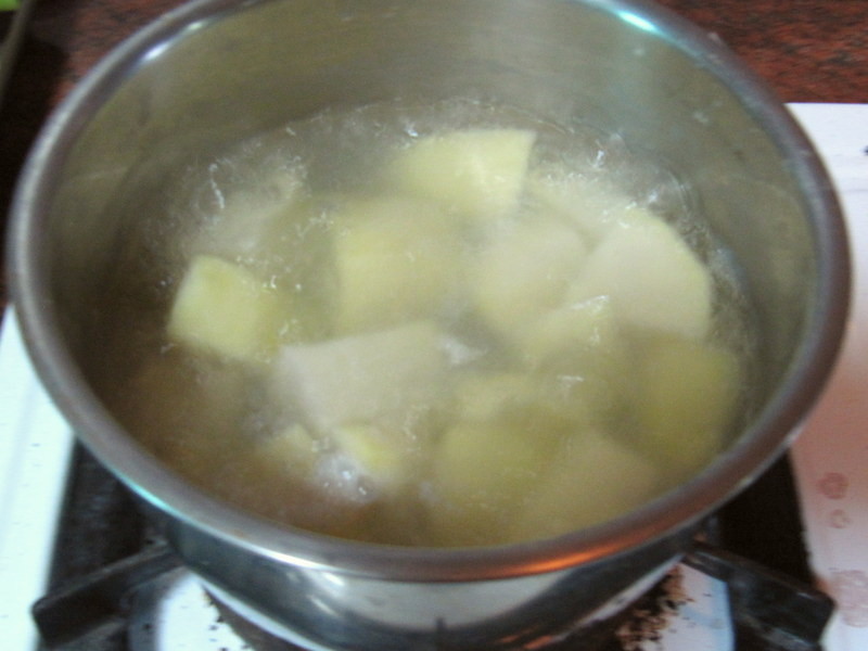 ��ʽ��ƻ⼦������