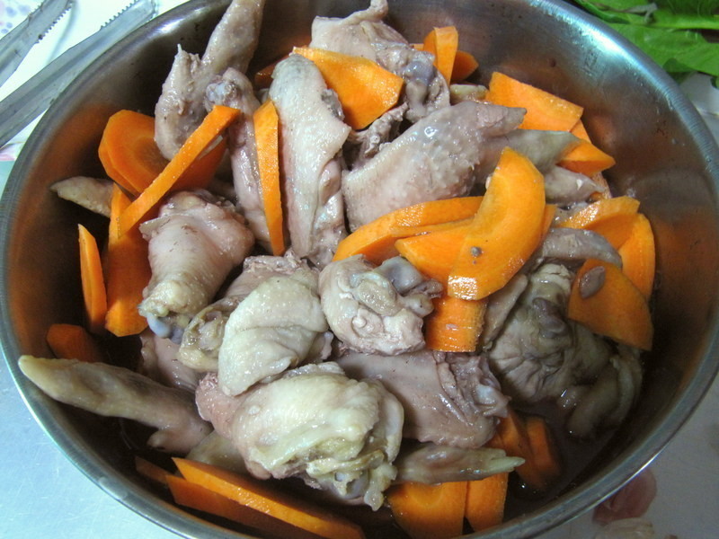 ��ʽ��ƻ⼦������