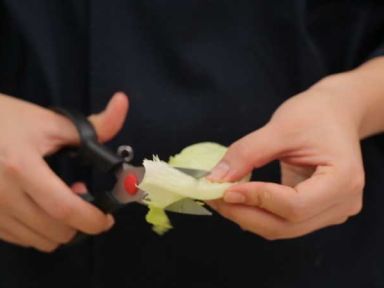 ���Ĺ������������