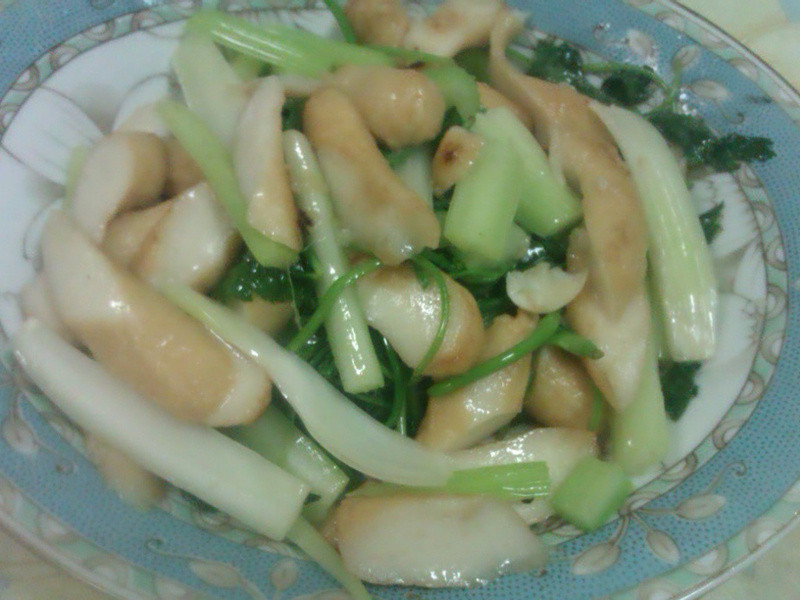 ɽ�۲ˣ������۲˳�����������