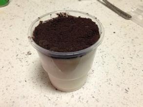 �������㽶�̵�����