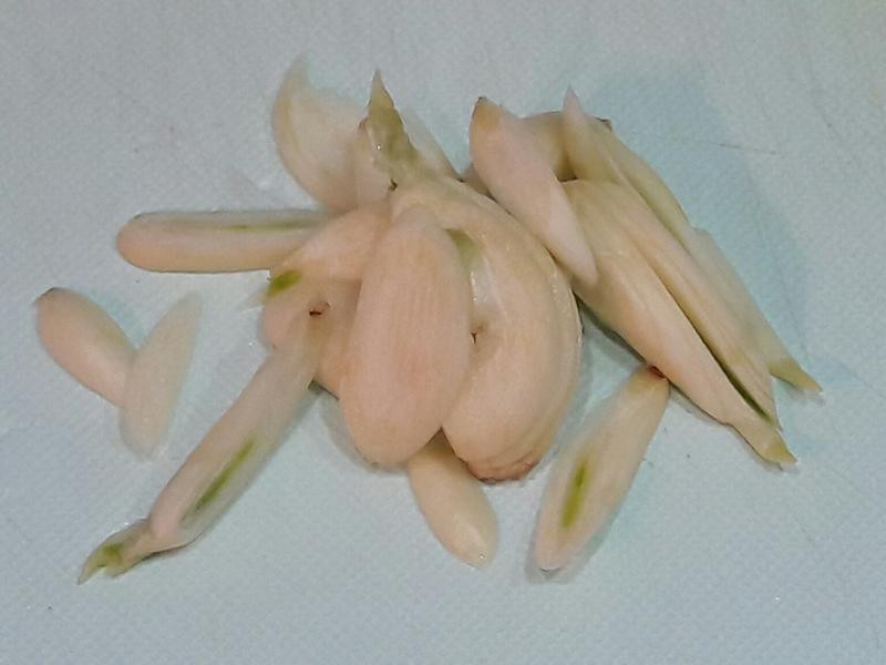 ���Ͳ�����Ƭ������������