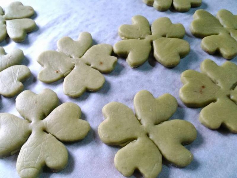 ���˲ݲ��˱��ɵ�����