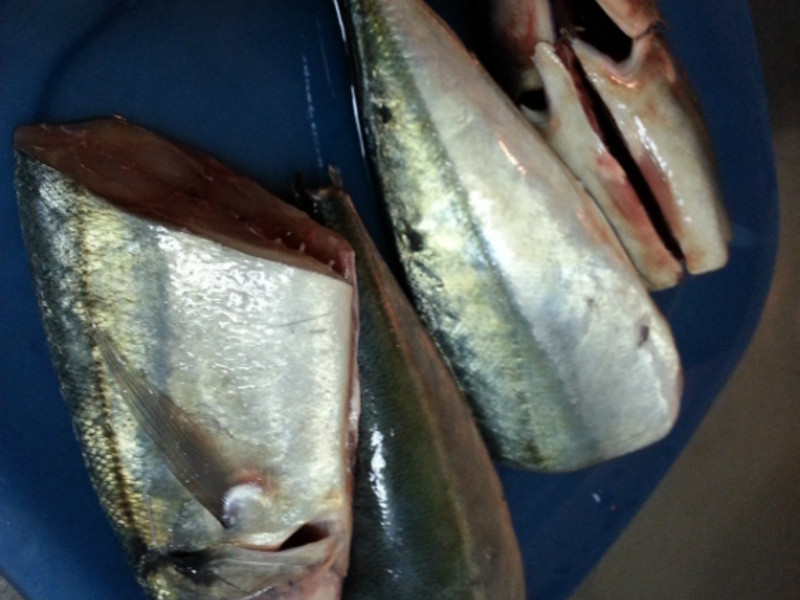 �������໨�������