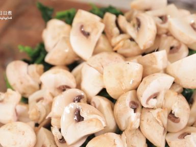 ����Ģ���󵰵�����