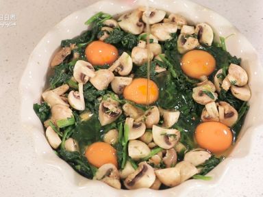 ����Ģ���󵰵�����