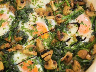 ����Ģ���󵰵�����