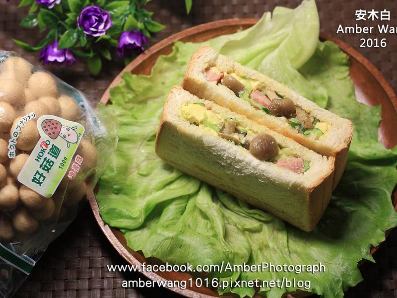 �����ڴ������ε�����