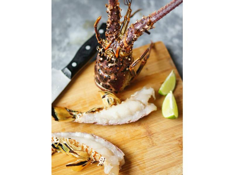 ���۽�ĩ��Ϻ�����ε�����