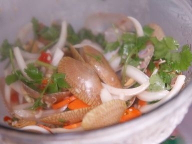 ̩ʽ���軨�׵�����