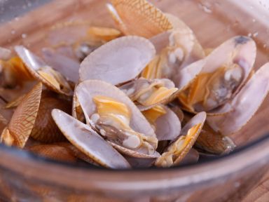 ̩ʽ���軨�׵�����