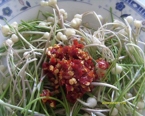 ����һ���ʡ�����С���˵�����