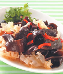 ����˫��������