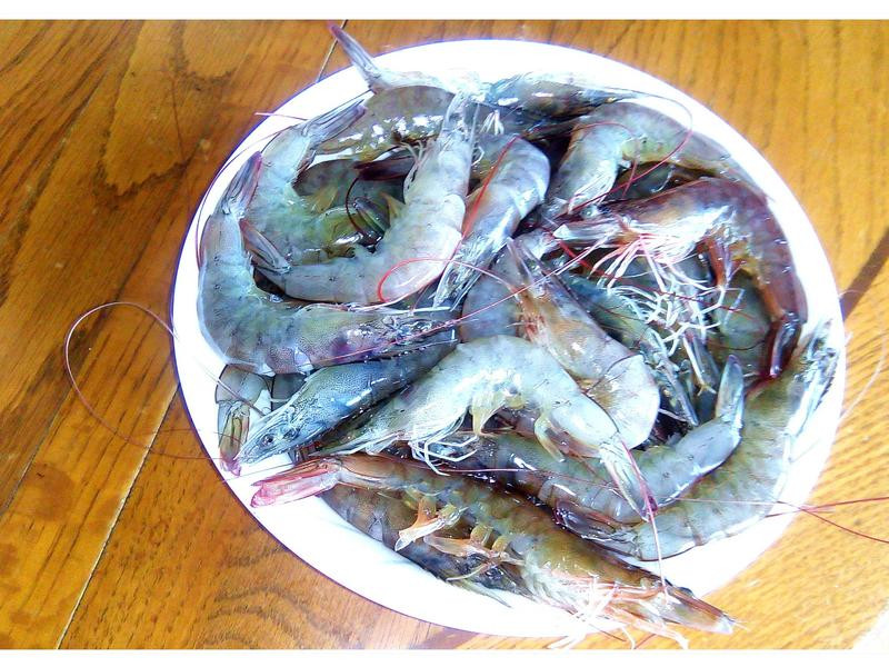 ���˰浱����Ϻ������