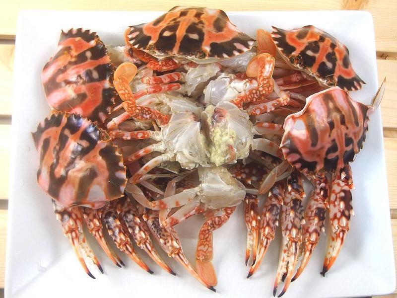 �����;�轻�з��������