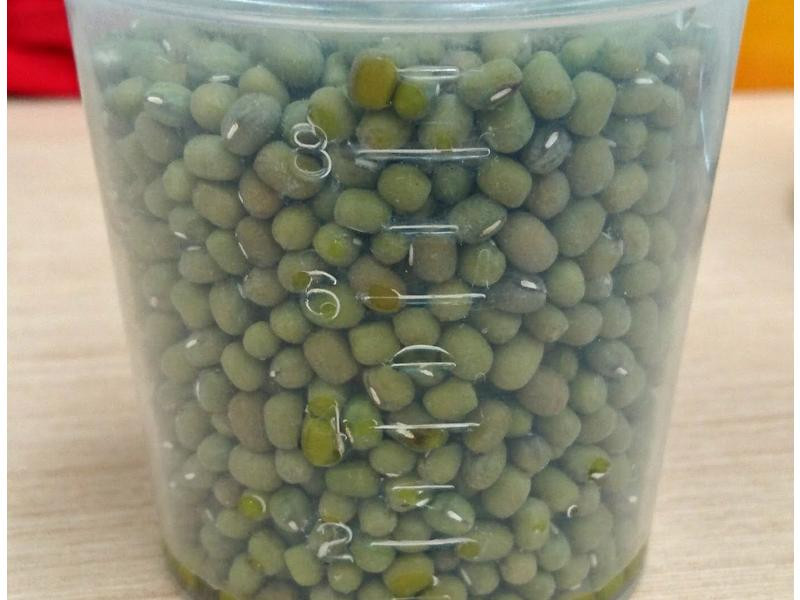 ����ˮ�̶���������