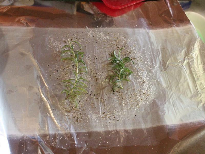 ������Ϻ��������