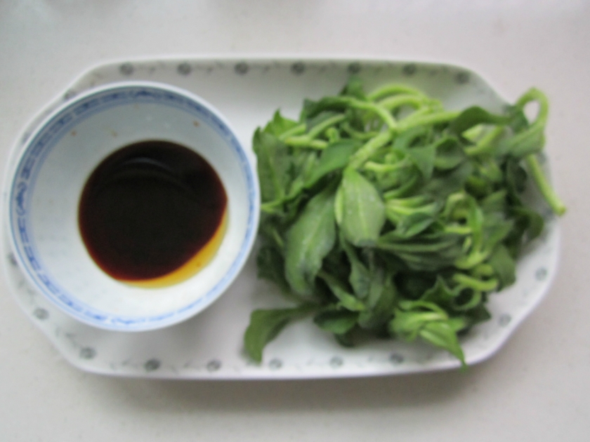 ������˵�����