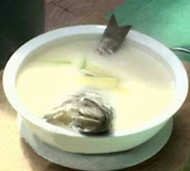 �׽�������������