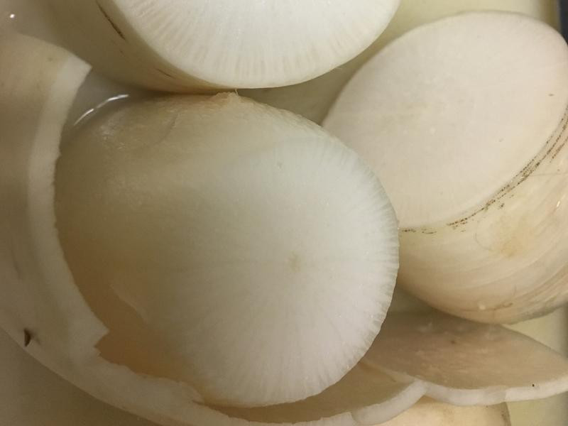 �ܲ�ţ������������