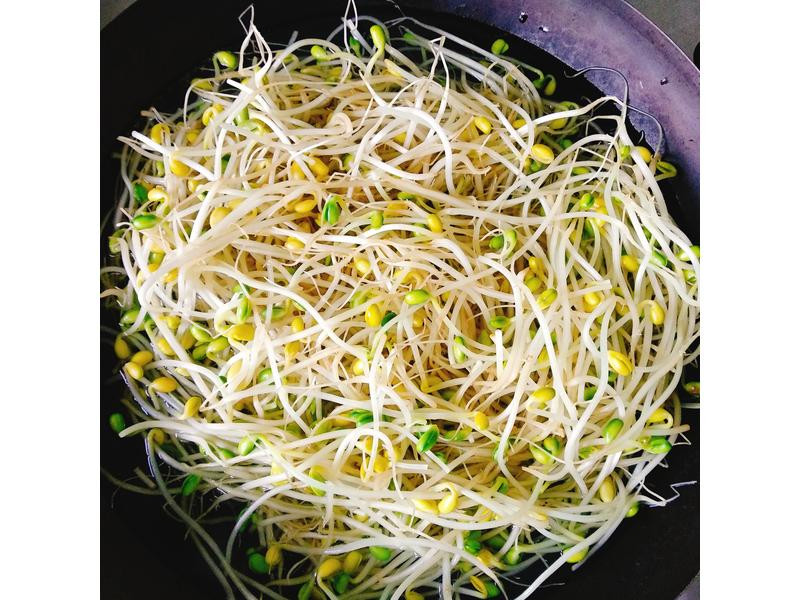 �����h��ƶ�ѿ������