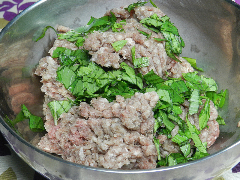 Classico�������ެ�����ս�~ެ�����պ����ʹ��������