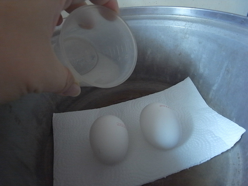 �������׵�ɳ��������