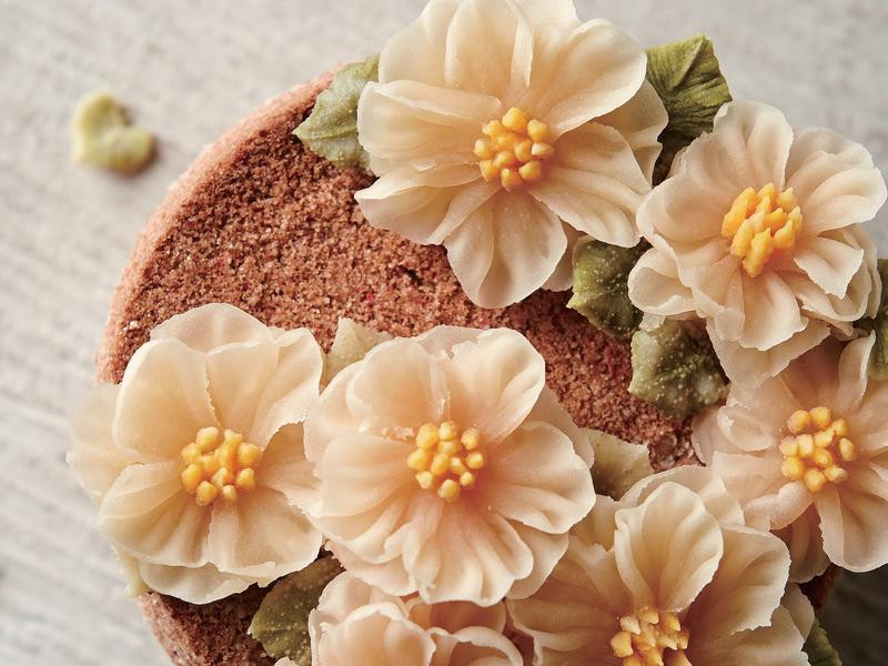 韩式蒸糕蛋糕做法的做法