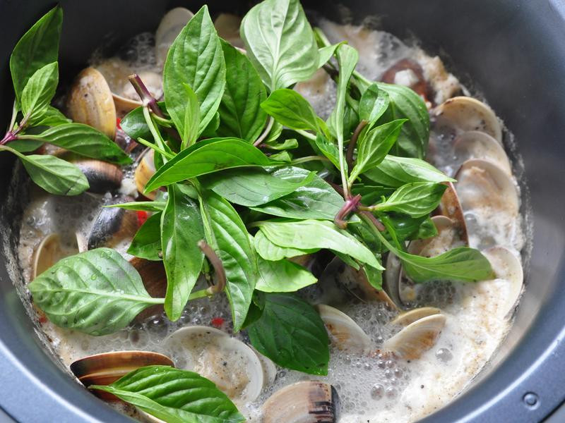 ������Ƹ��۵�����