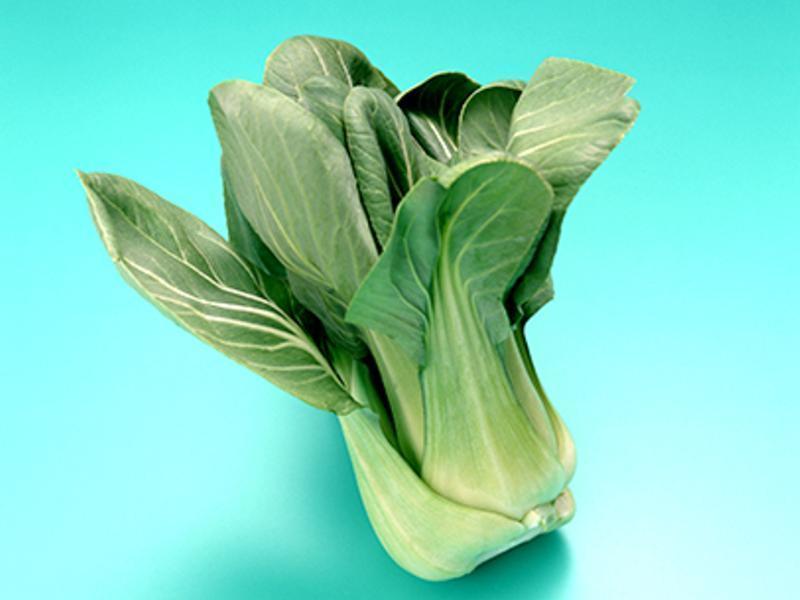 ʲ���ݲ˹�������