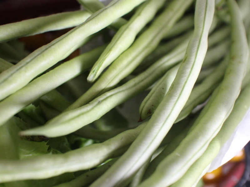 ����㵽֮���ݡ���ľ���桻������