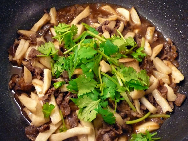 ţ�⳴�ӱ��� �����Թ�13��������