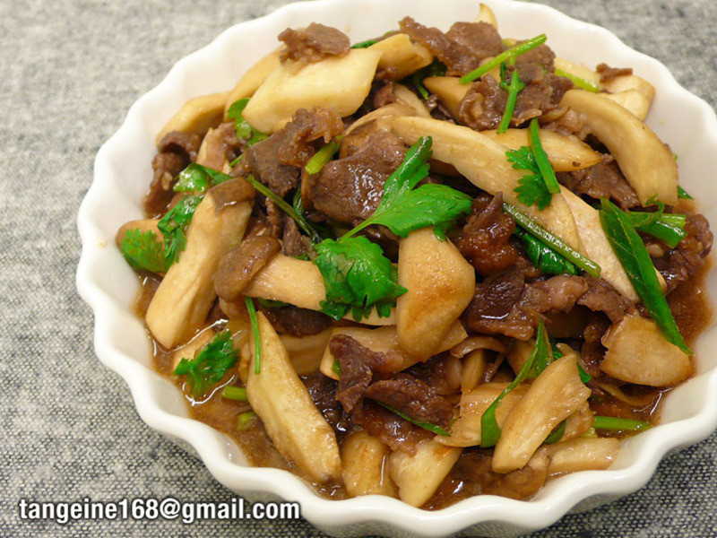 ţ�⳴�ӱ��� �����Թ�13��������