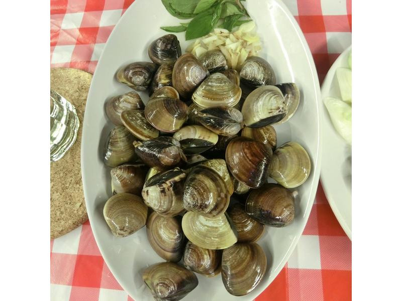 ���������۵�����