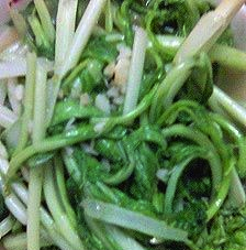 金钩青菜心的做法