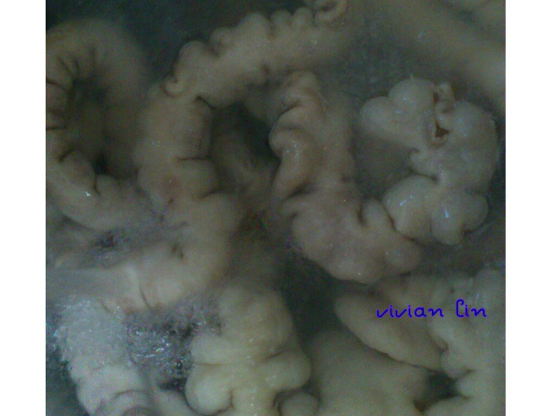 ���չ�֮±�󳦵�����