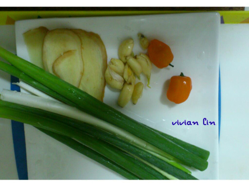 ���չ�֮±�󳦵�����