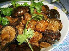 �㹽Ѽ�������