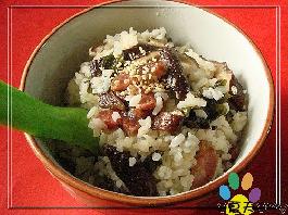 ˫��˷����㹽 �㳦 ȹ���ˣ�������