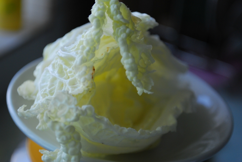 �ײ�պ��������