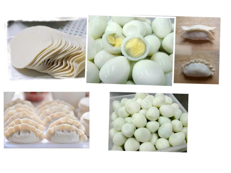 ̩ʽը�񵰵�����