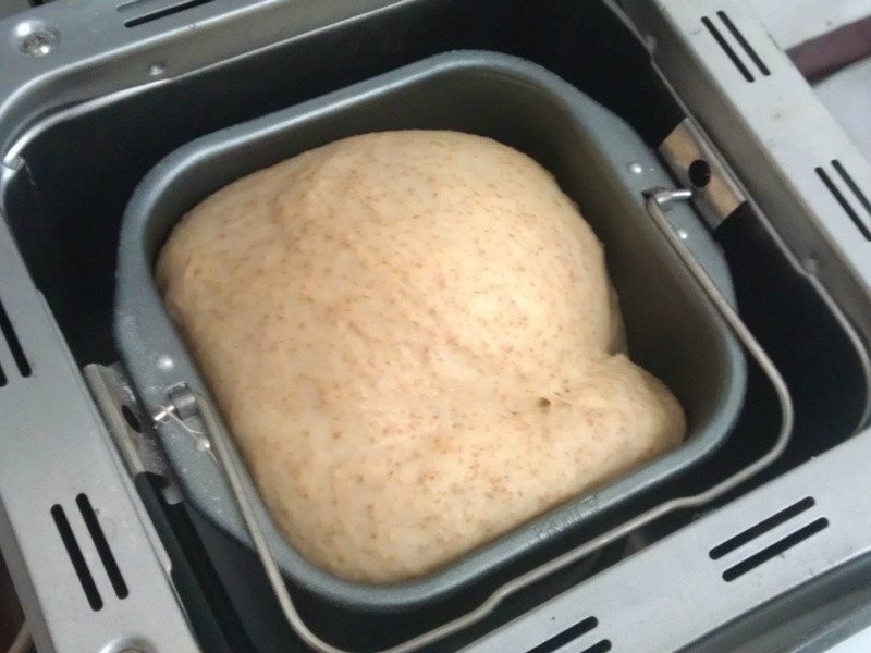 ������������(���������)������