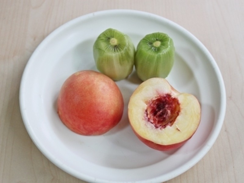 ˮ����ţ�̵�����