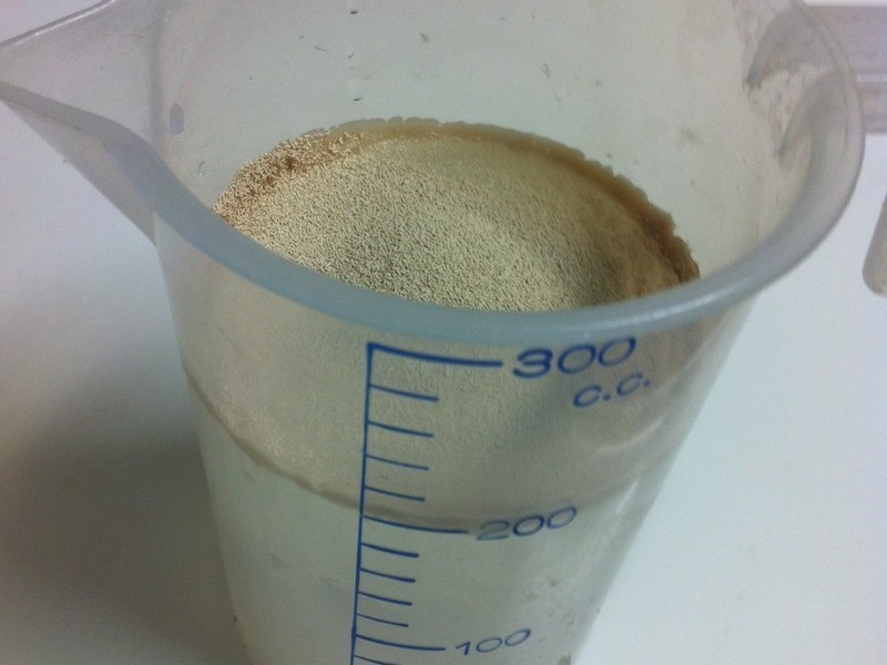 ��֥����ţ��˾-���m�ӵ�����