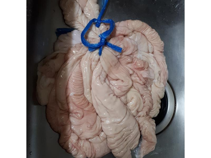 Ŵ�׳��Ľ��������