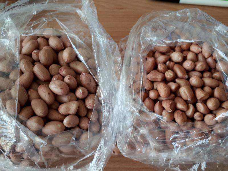 Ŵ�׳��Ľ��������