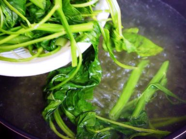 ��������ͨ�˵�����