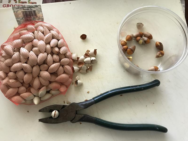 ��Ƥ����¶������